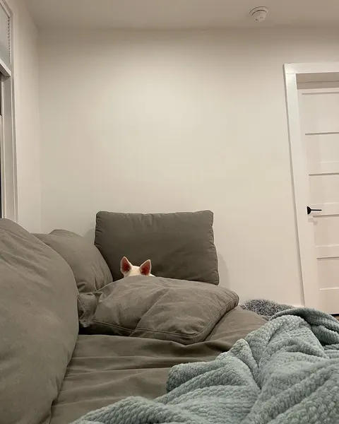 JK