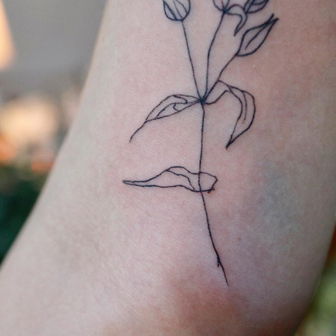 Flower, Rose