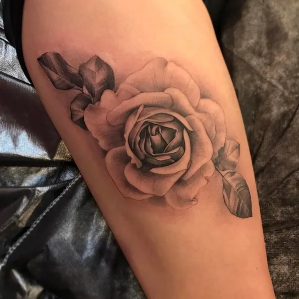 Flower, Rose