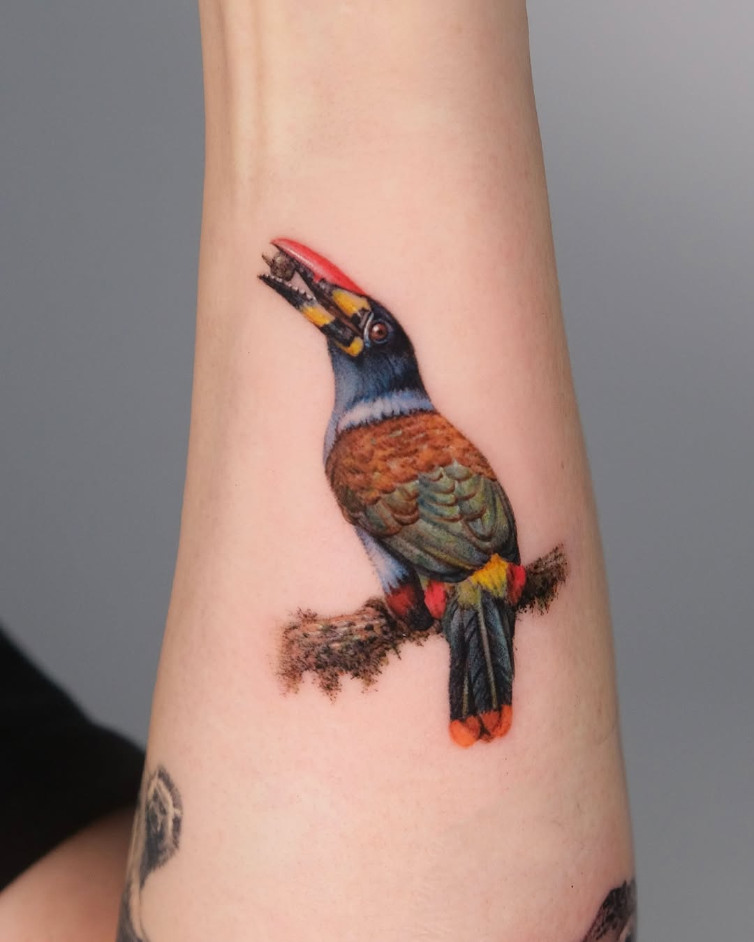 40.tatt