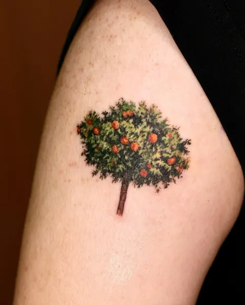 Nature, 나무, 소나무, 숲