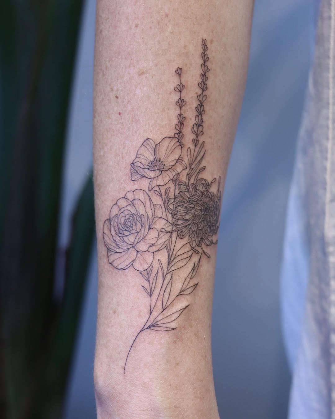 Flower, Rose