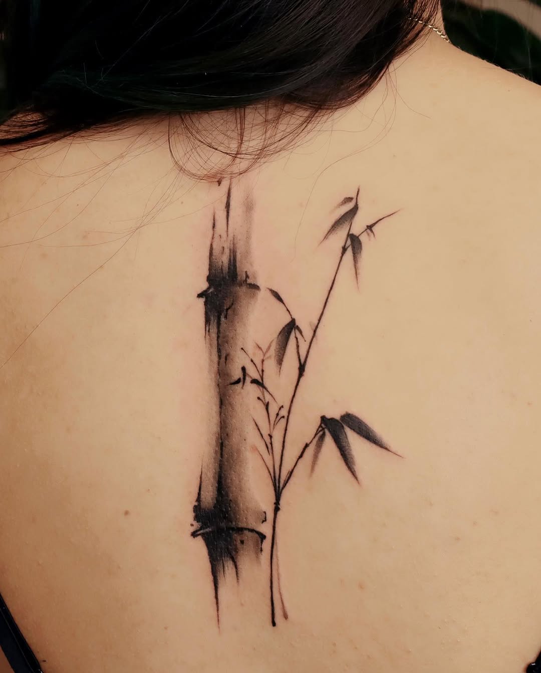 anthony_tatts