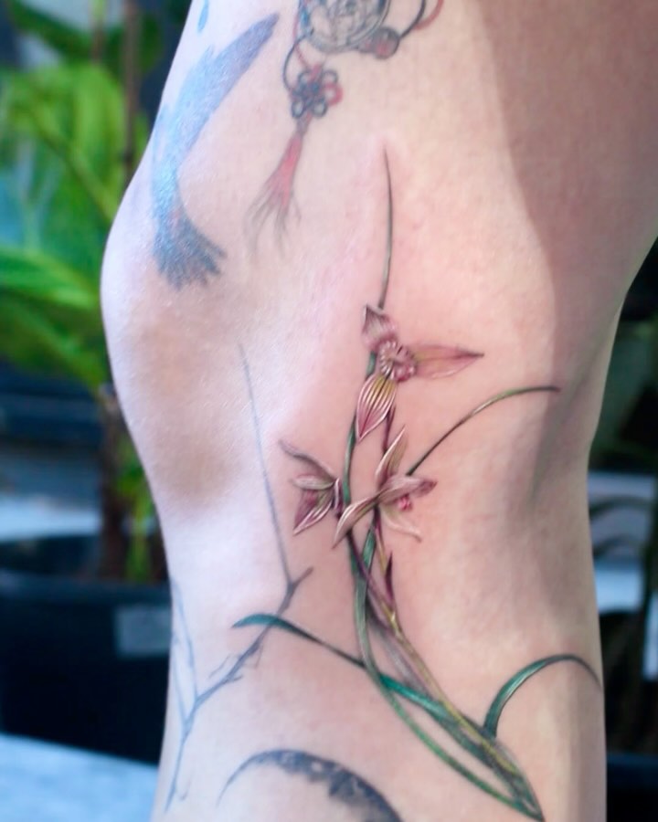 Flower