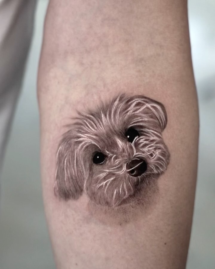 lewis.tattoo