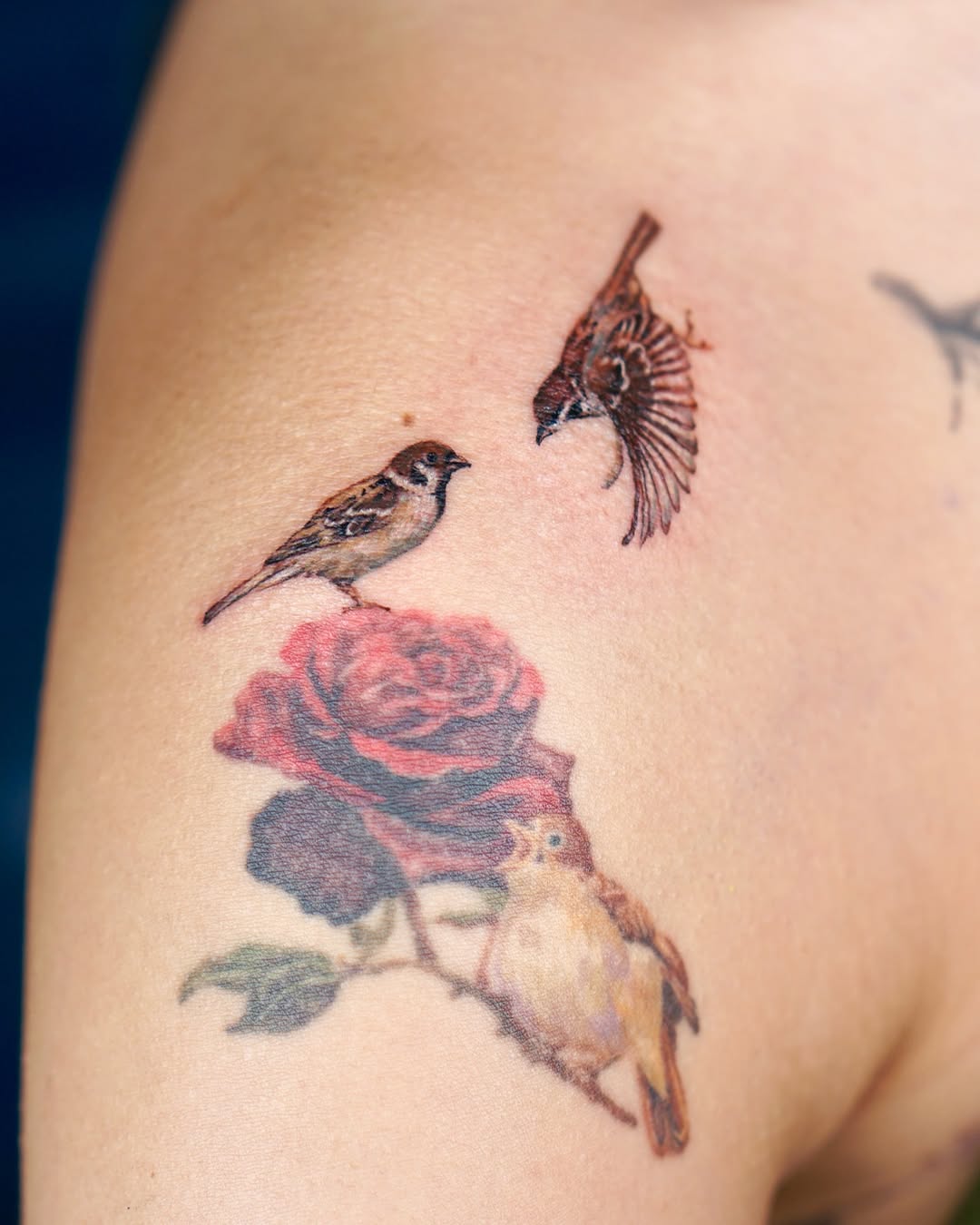 1sle_tattoo