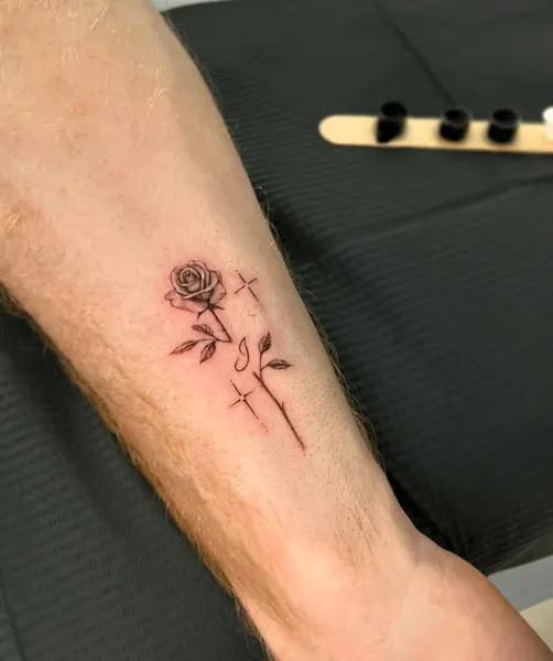 Flower, Rose