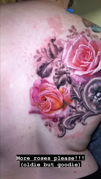Flower, Rose, Nature
