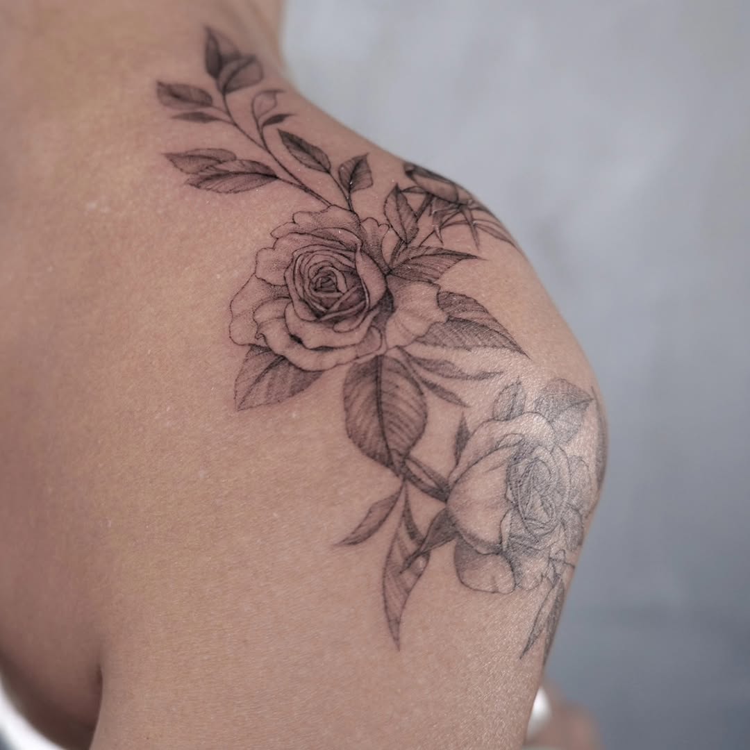 Flower, Rose, Nature