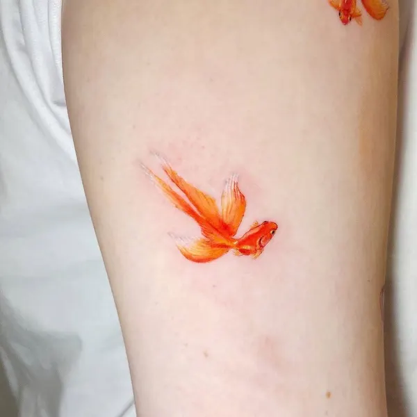 Animal, 수선화, 난초