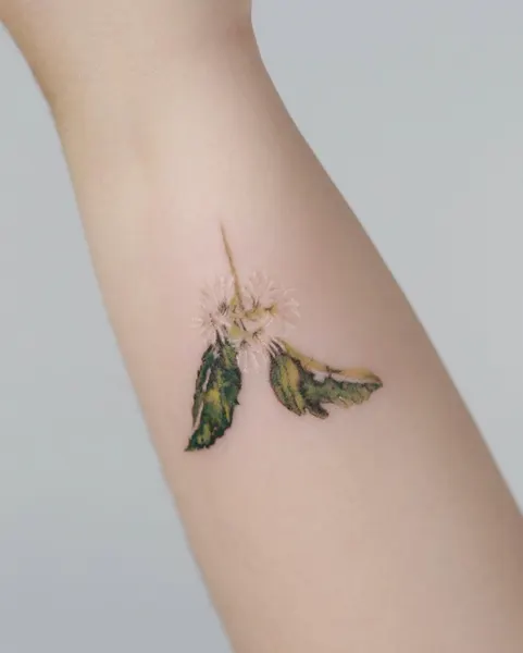 Flower, 개미, 매미, 잠자리, 전갈, 지네