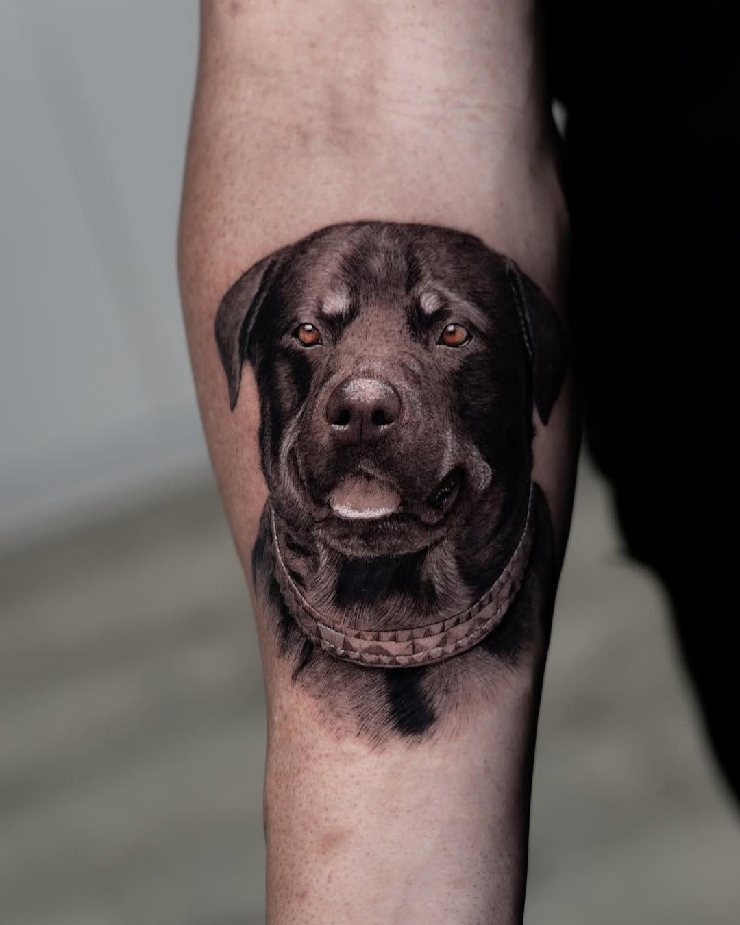 Animal