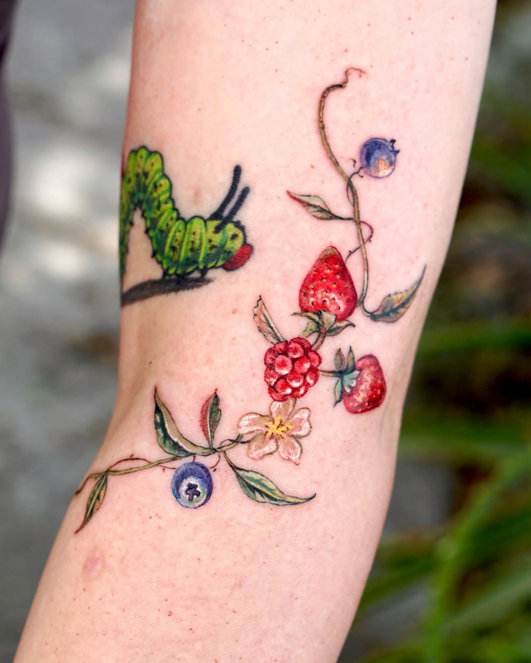 Flower, Rose