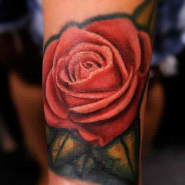 Flower, Rose