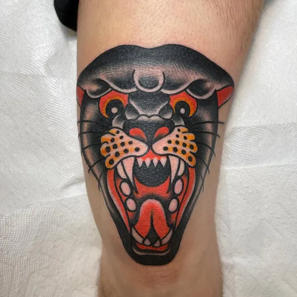 Tiger, Animal
