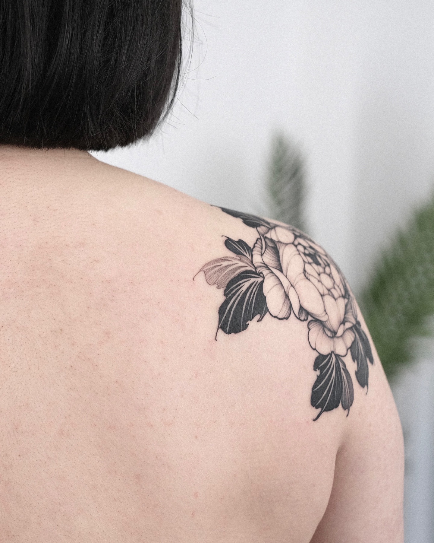 Flower, Nature, Rose