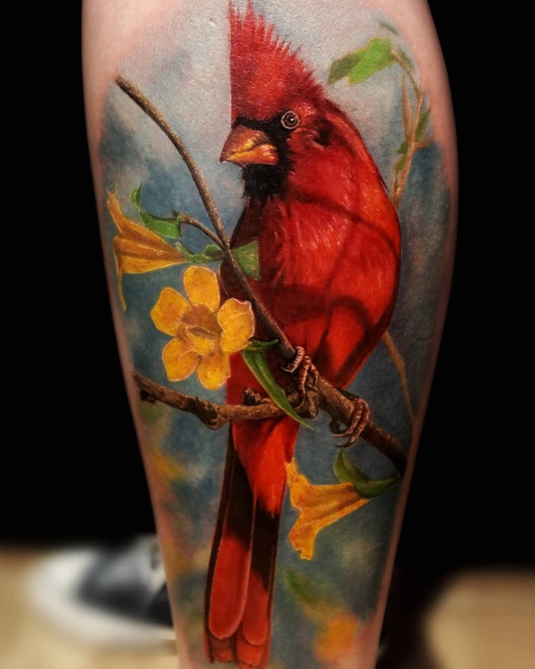 Flower, Animal, Nature