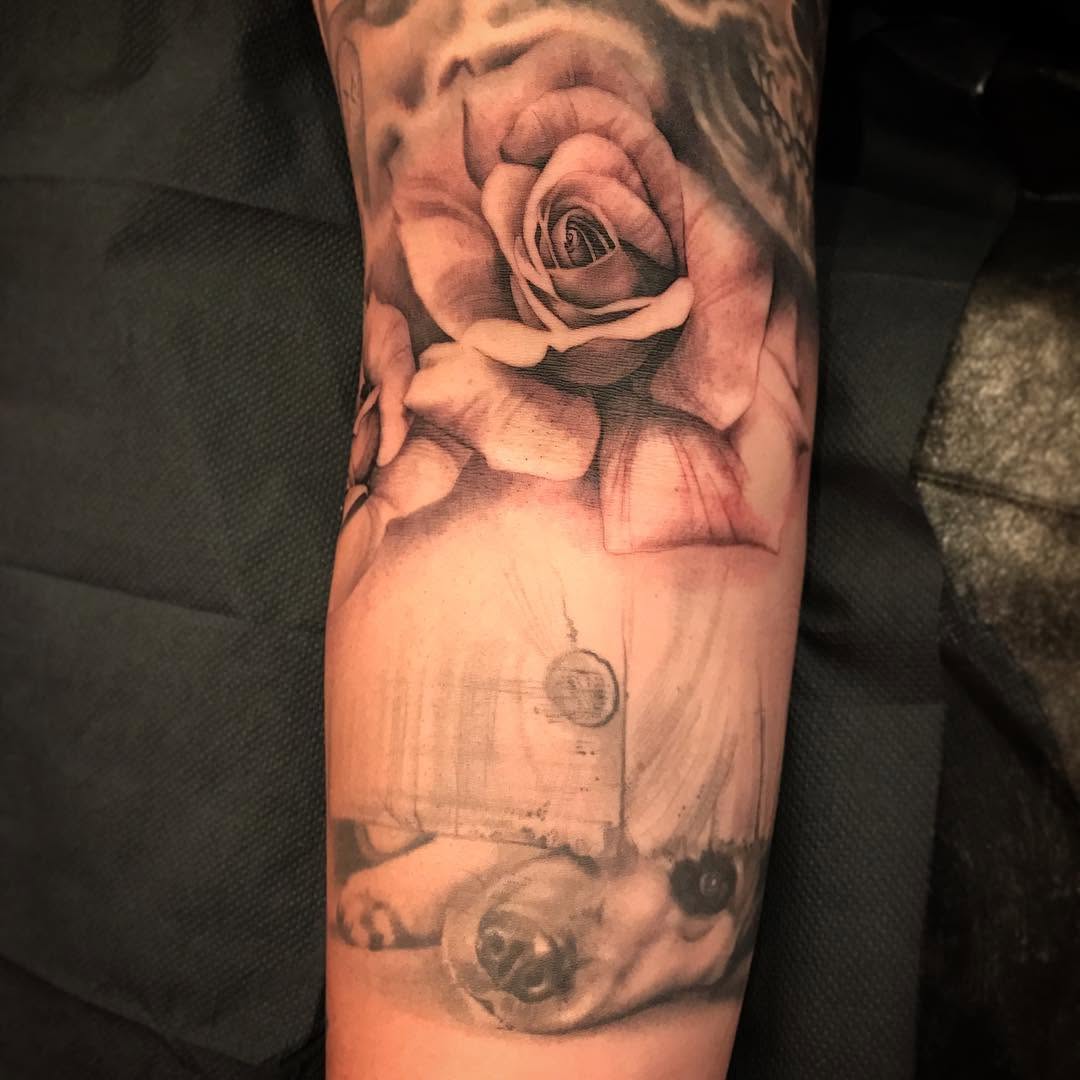 Flower, Rose