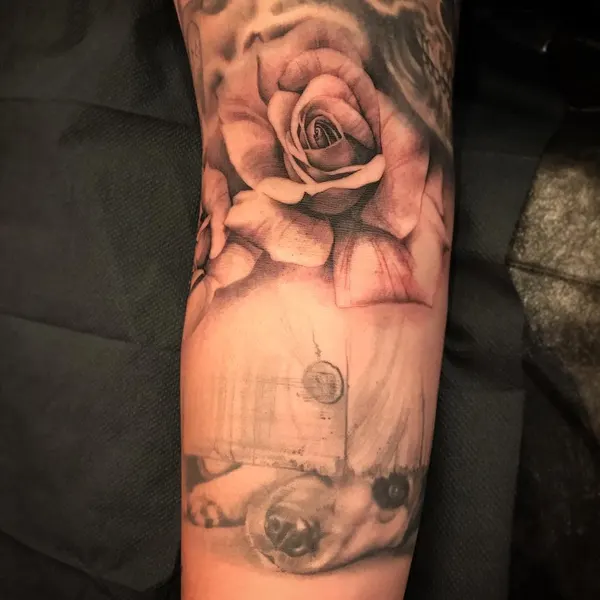 Flower, Rose