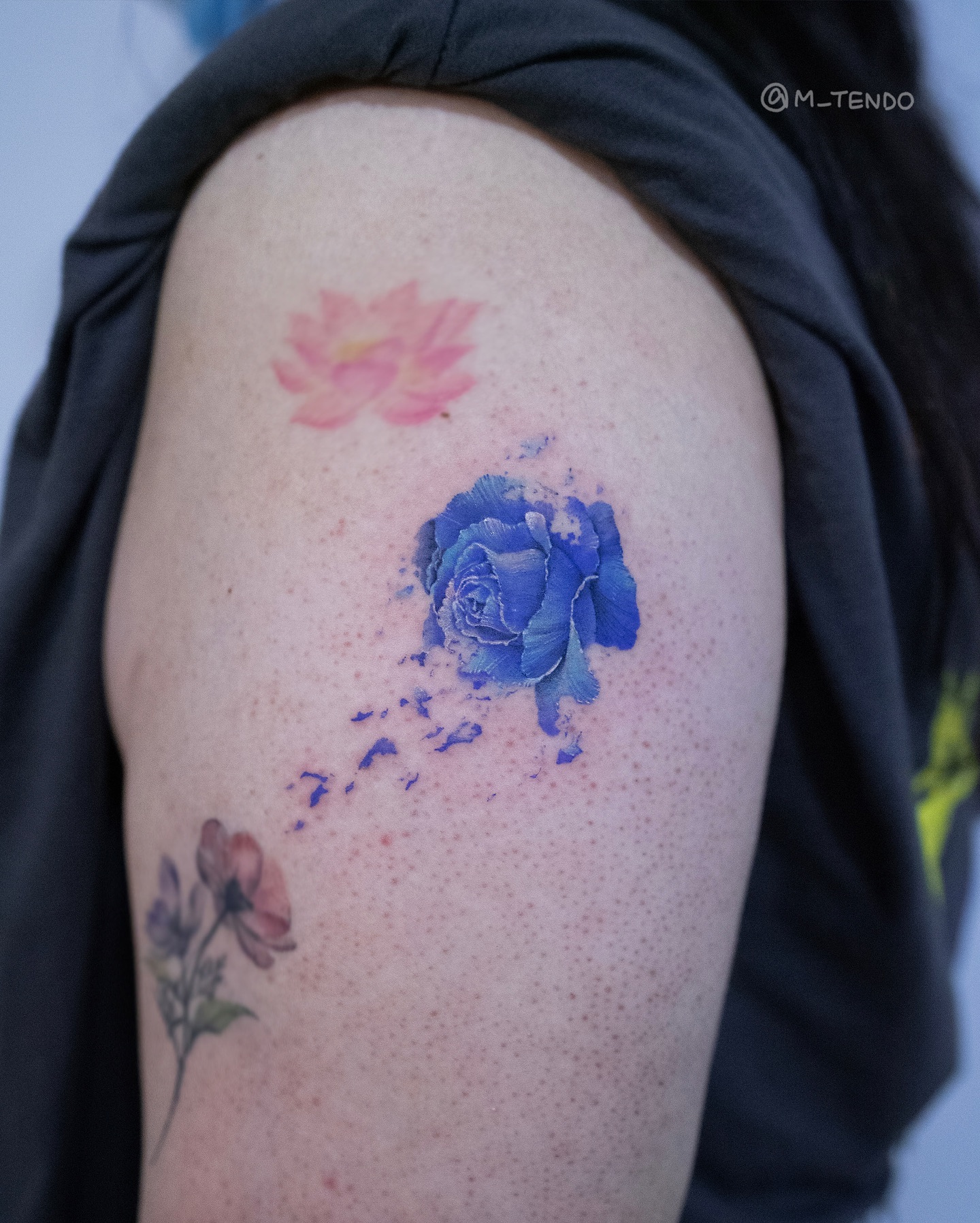 Flower, Rose
