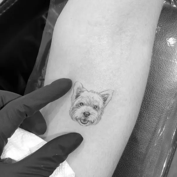 Circa Tattoo
