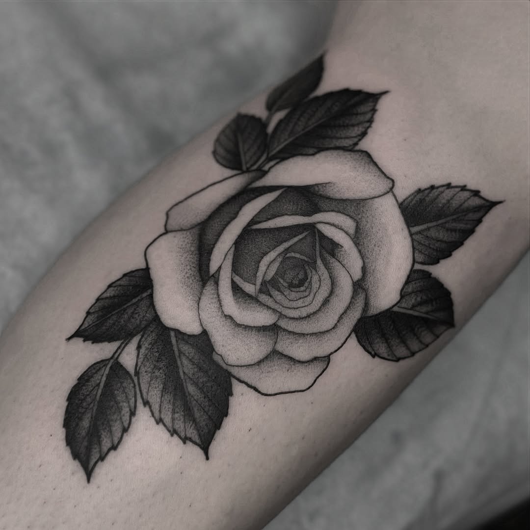 Flower, Rose