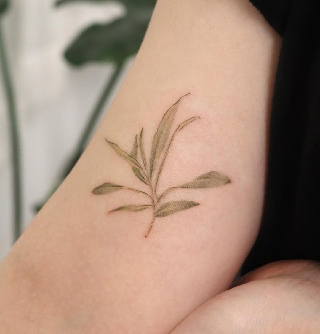 dorok.tattoo