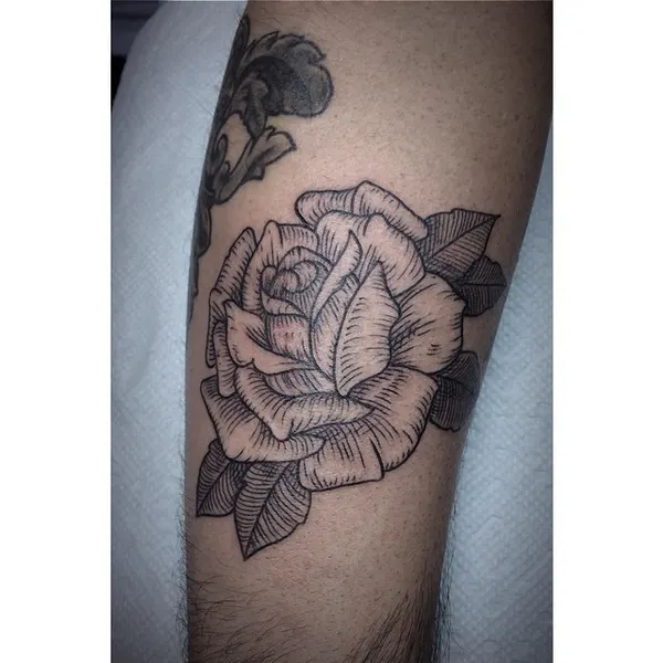 Flower, Rose