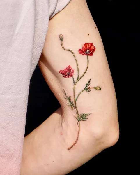 Flower, Rose, 양귀비
