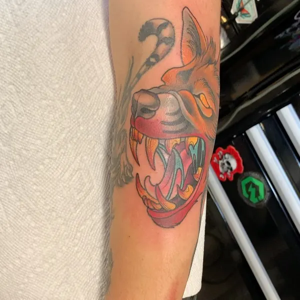 Tiger, Animal