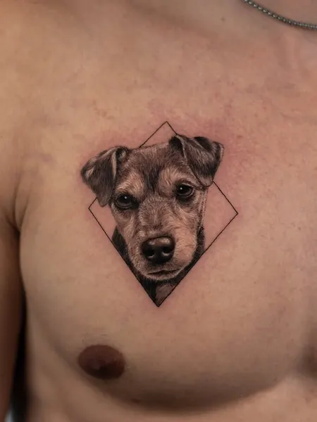 Animal