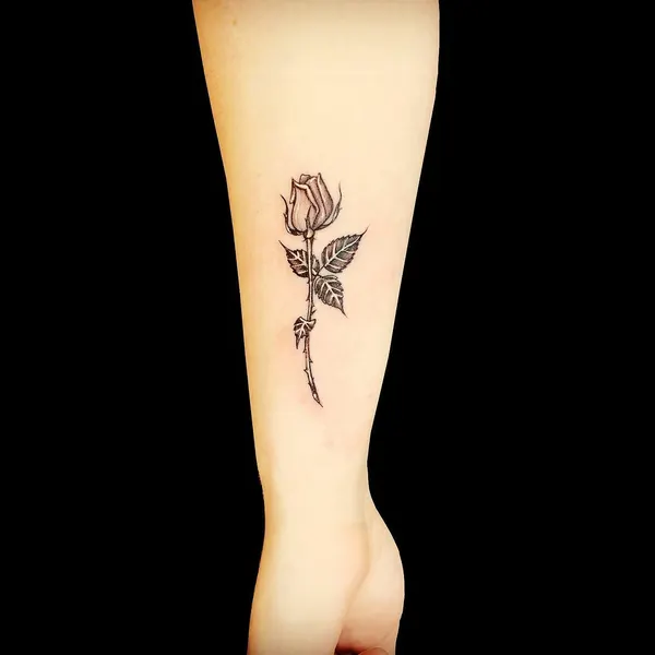 Flower, Rose