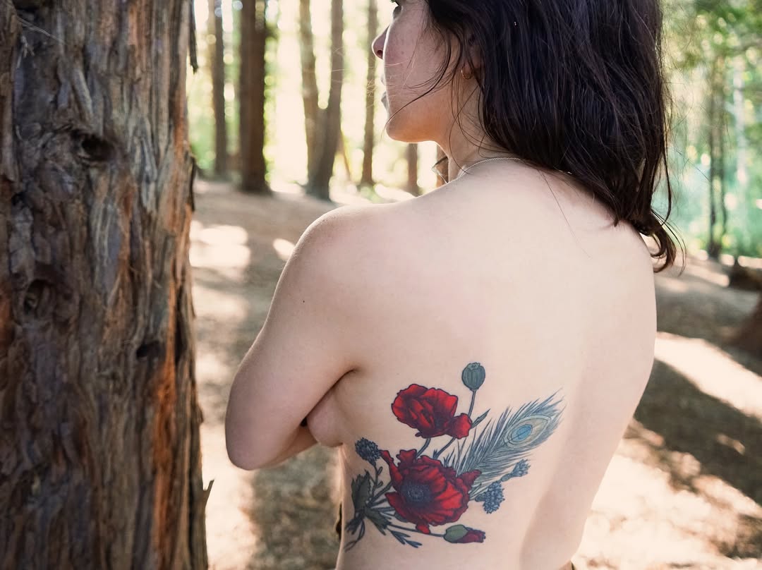 Flower, Rose, Nature