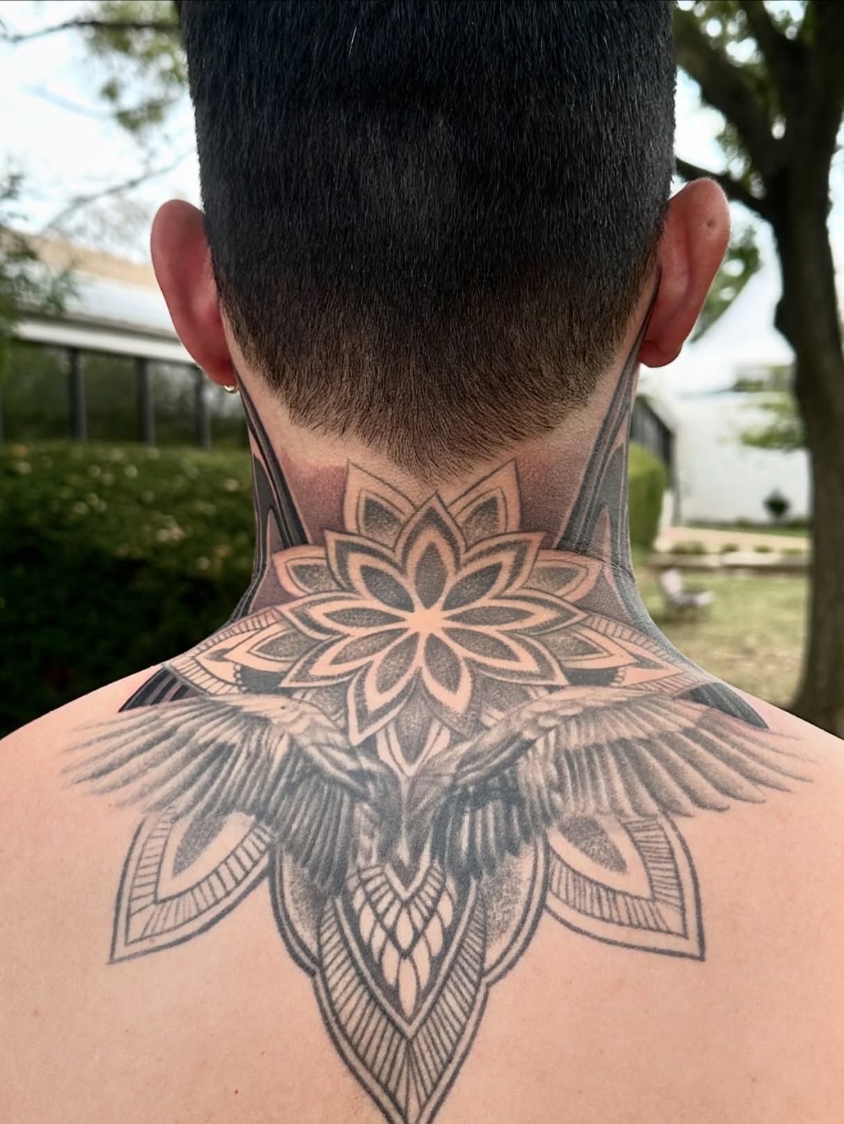 back.ttt