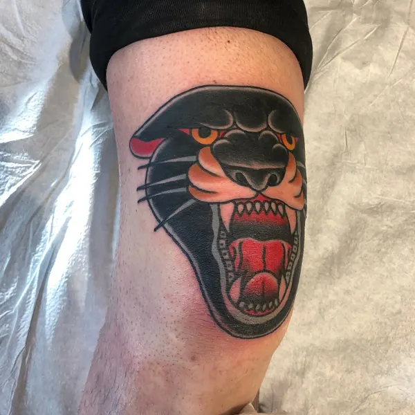 Animal, Tiger