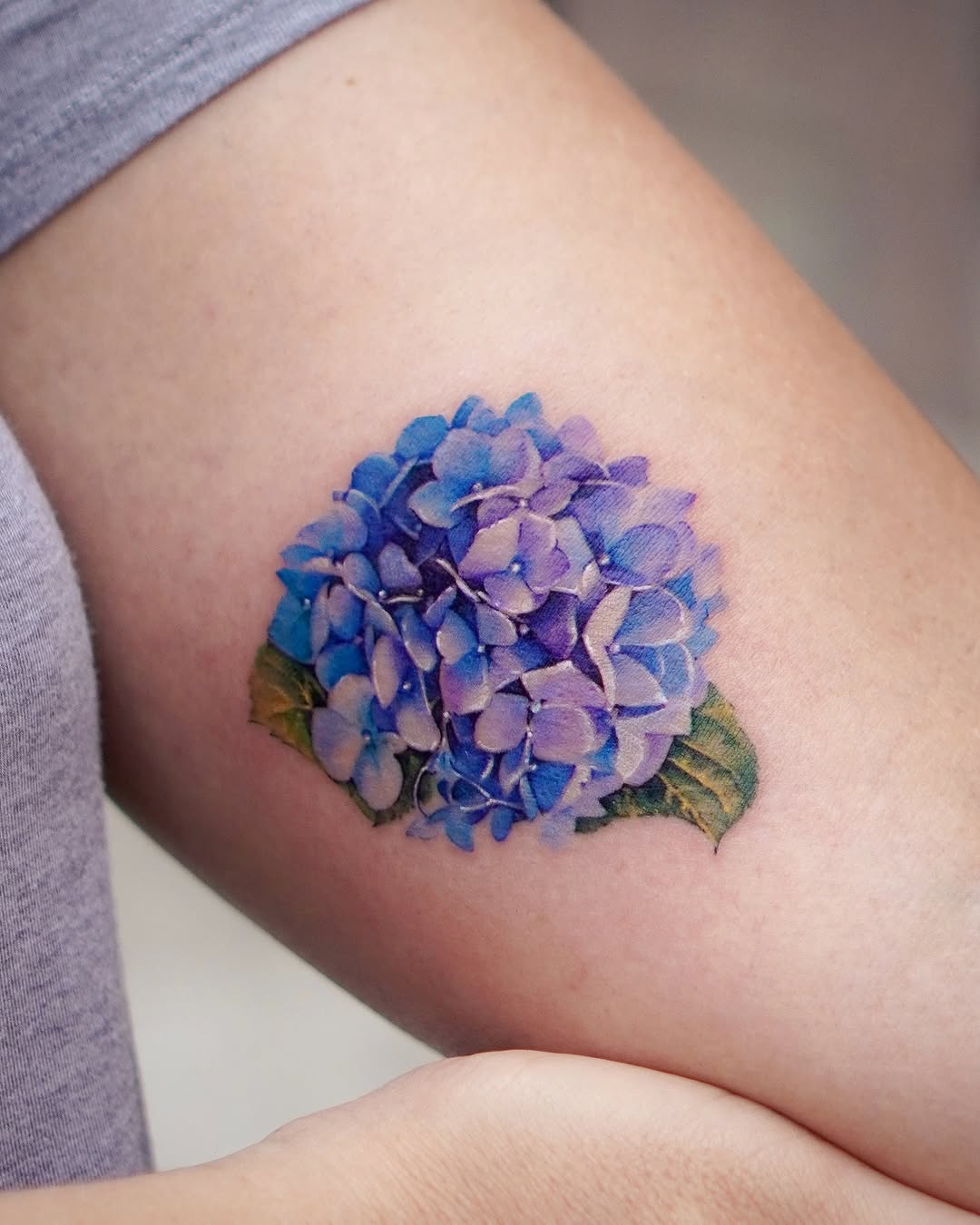 Flower, 수국