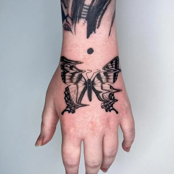 Animal, Nature, 나방