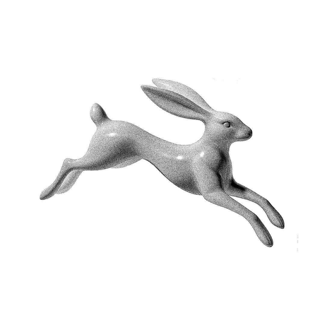 토끼, Animal
