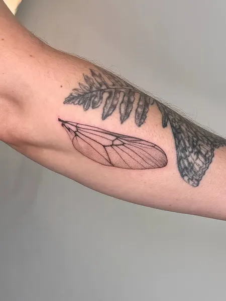 plantsnpokes