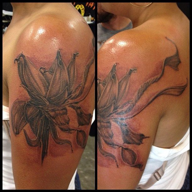 Flower