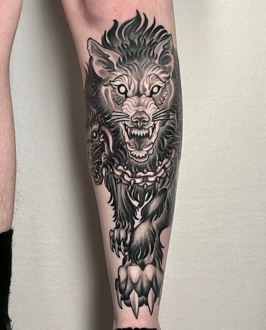 Tiger, Animal