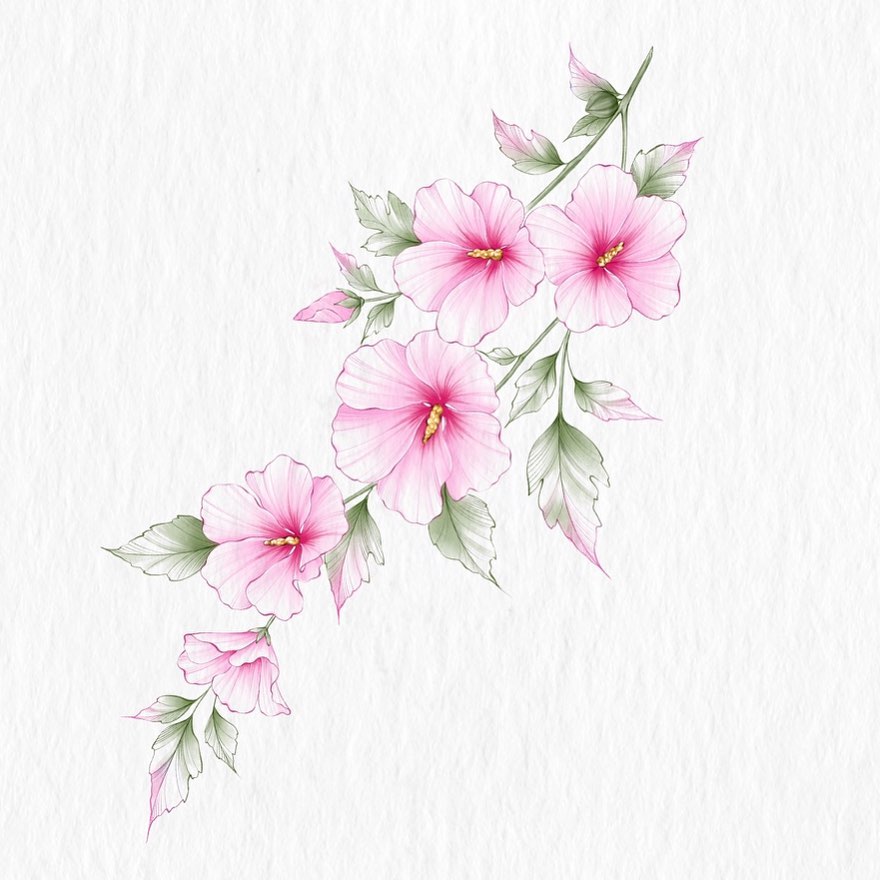 Flower, Nature