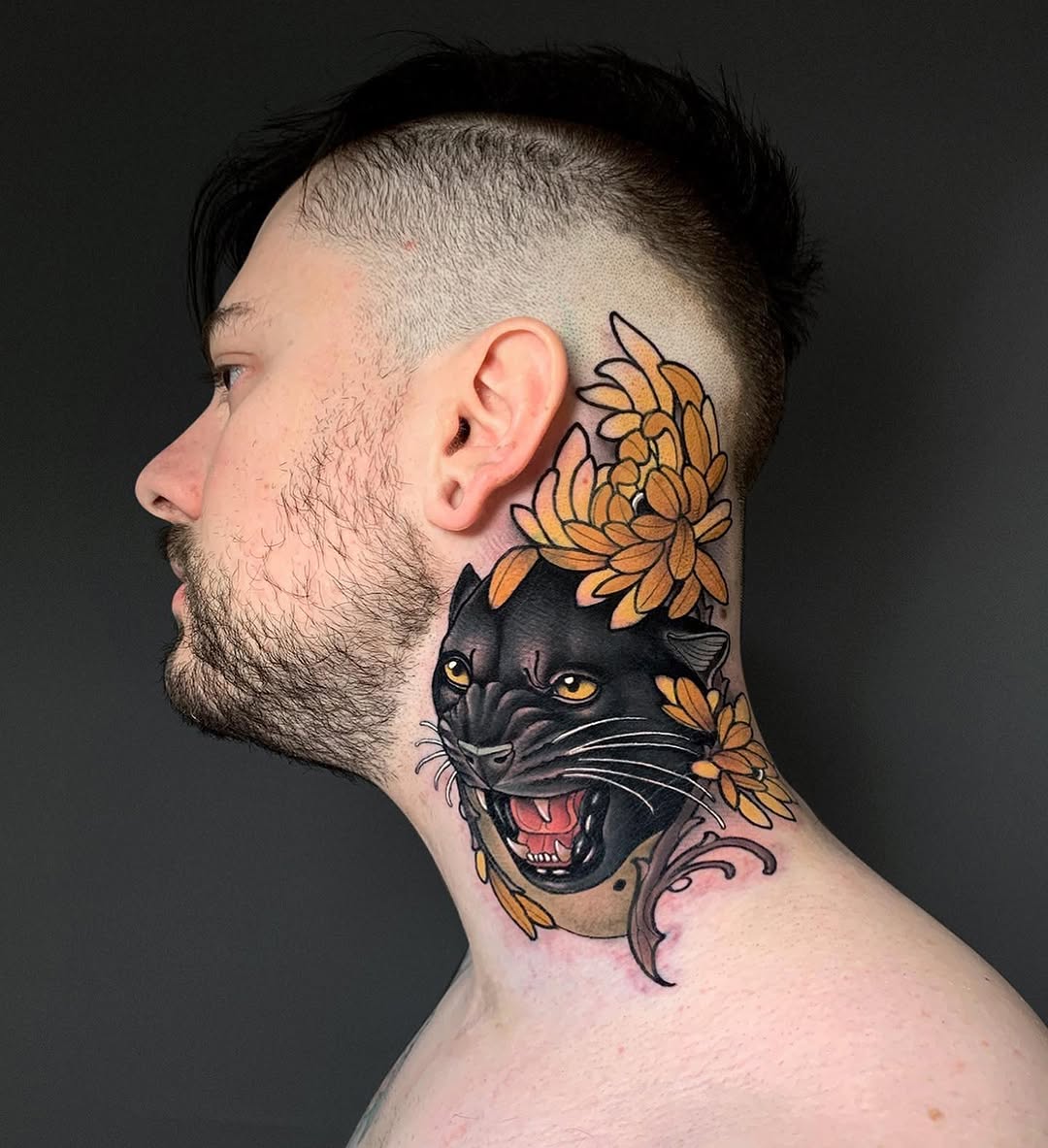 Tiger, Animal