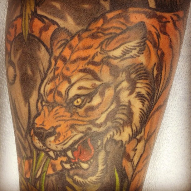 Tiger