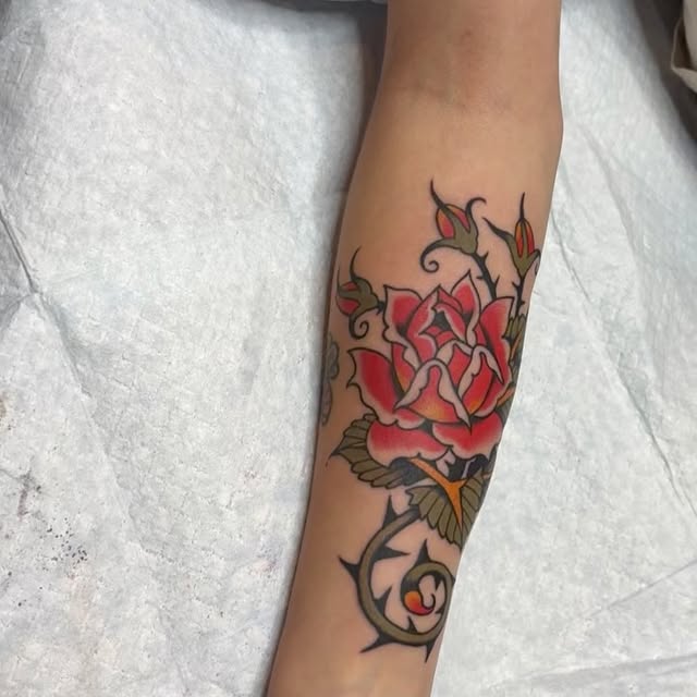 Flower, Rose