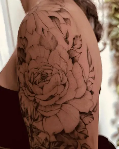 Flower, Rose, Nature