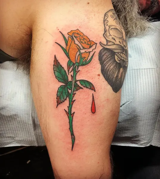 Flower, Rose