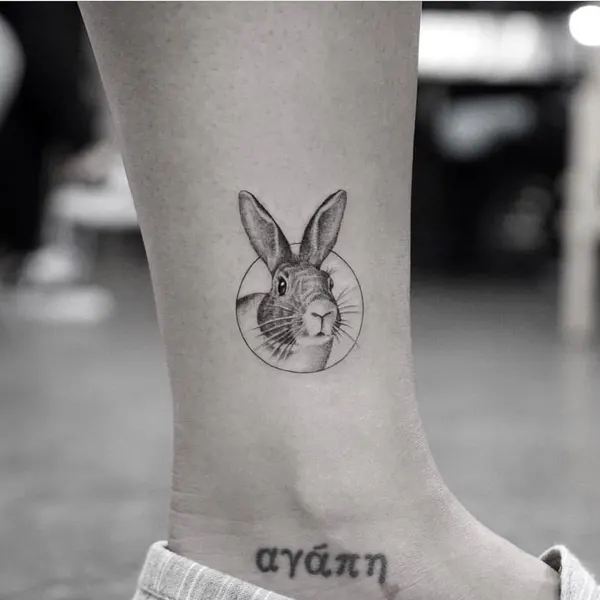 Animal, 토끼