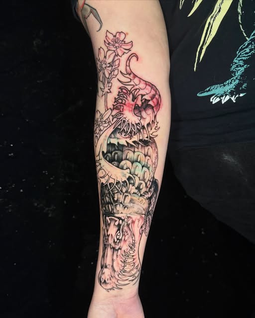 Dragon