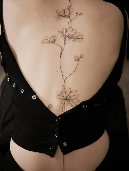 Flower, Nature, Rose